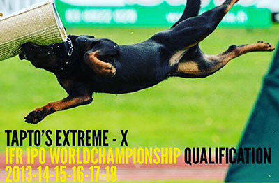 36637426_10155923176668752_6357860893090381824_n